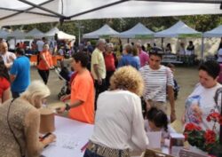 Cáritas Interparroquial de Tortosa participa en la Fiesta de las Entidades Sociales.